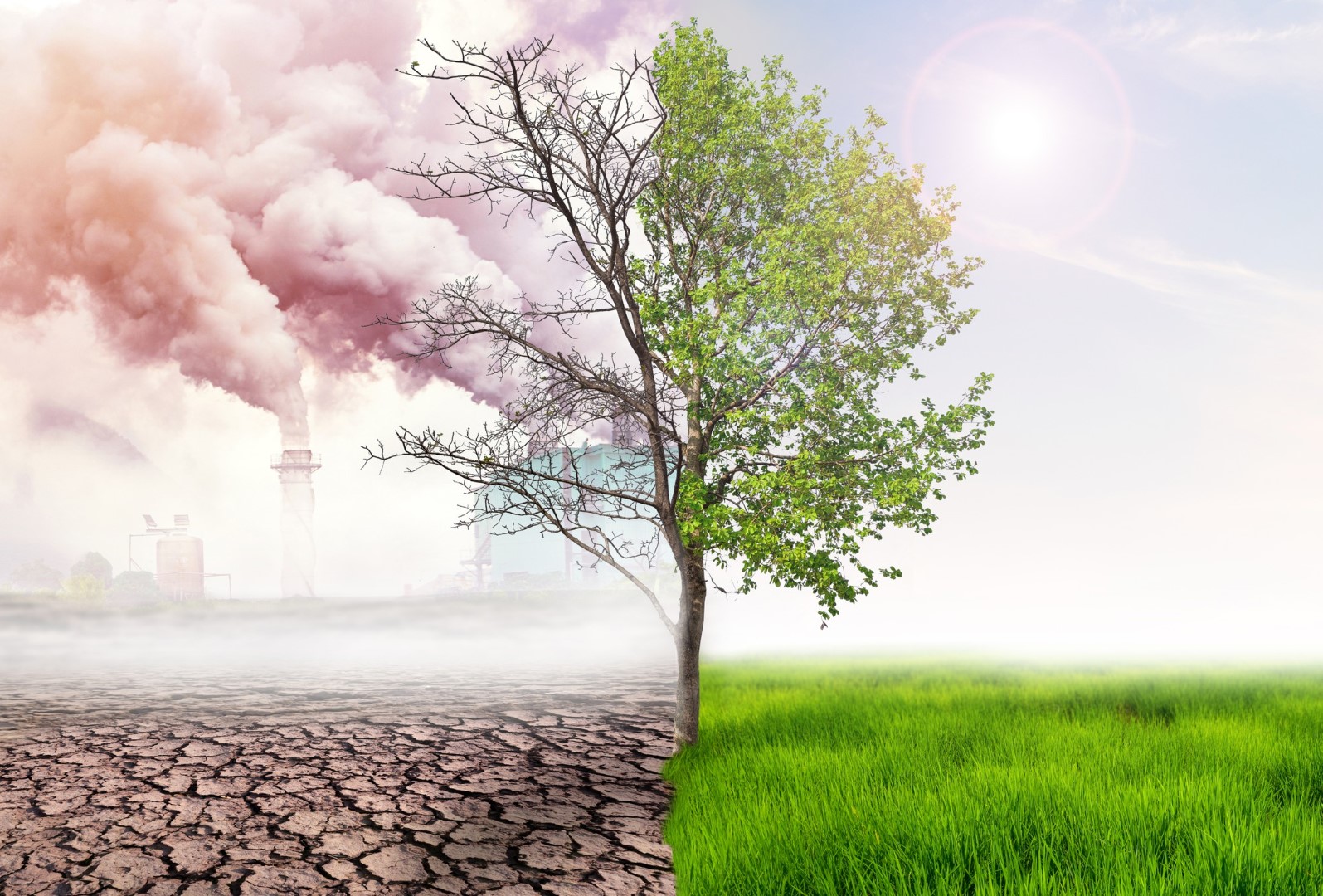 informations sur l'amendement A1:2024 à propos du climat